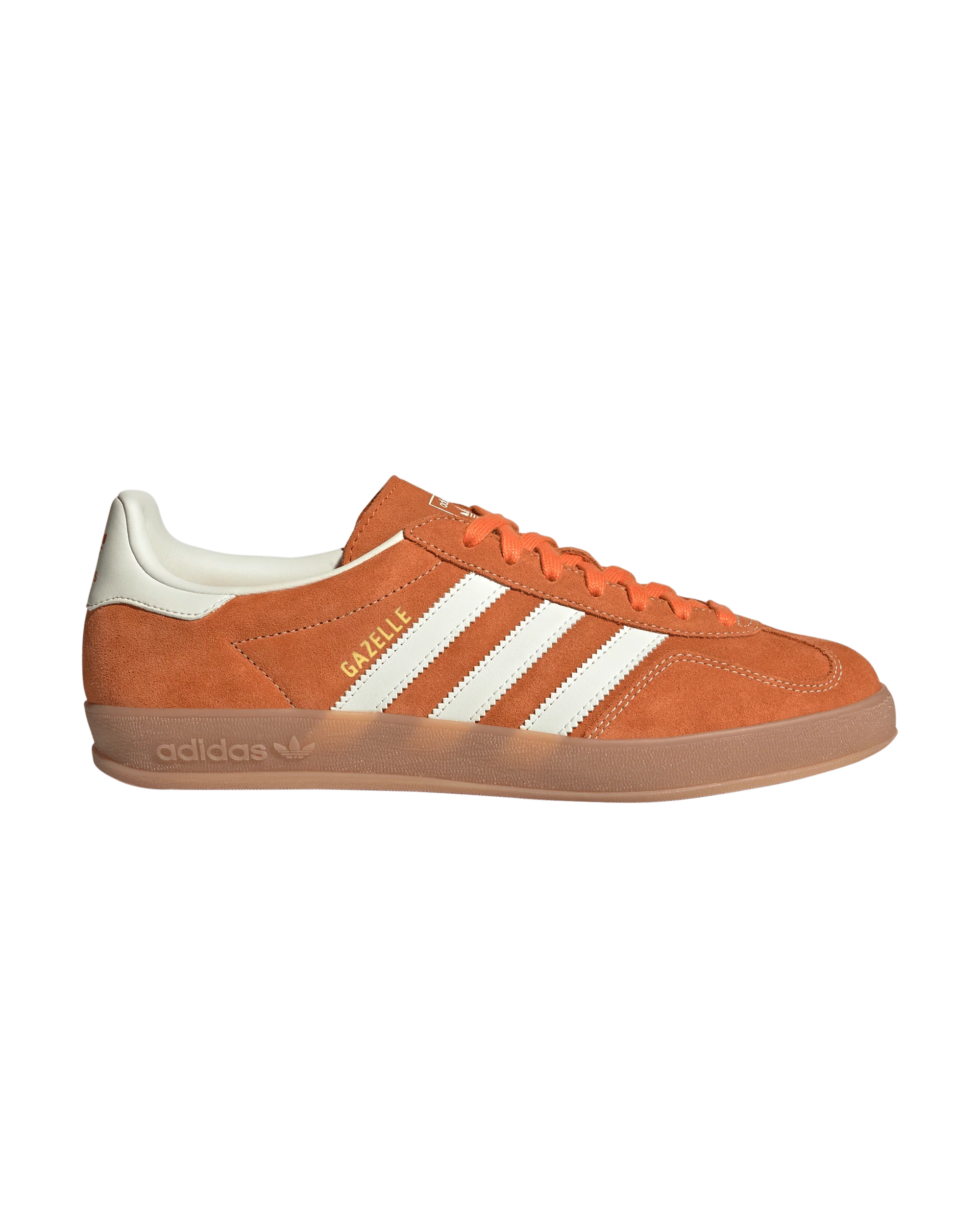 Gazelle Indoor - Macdery