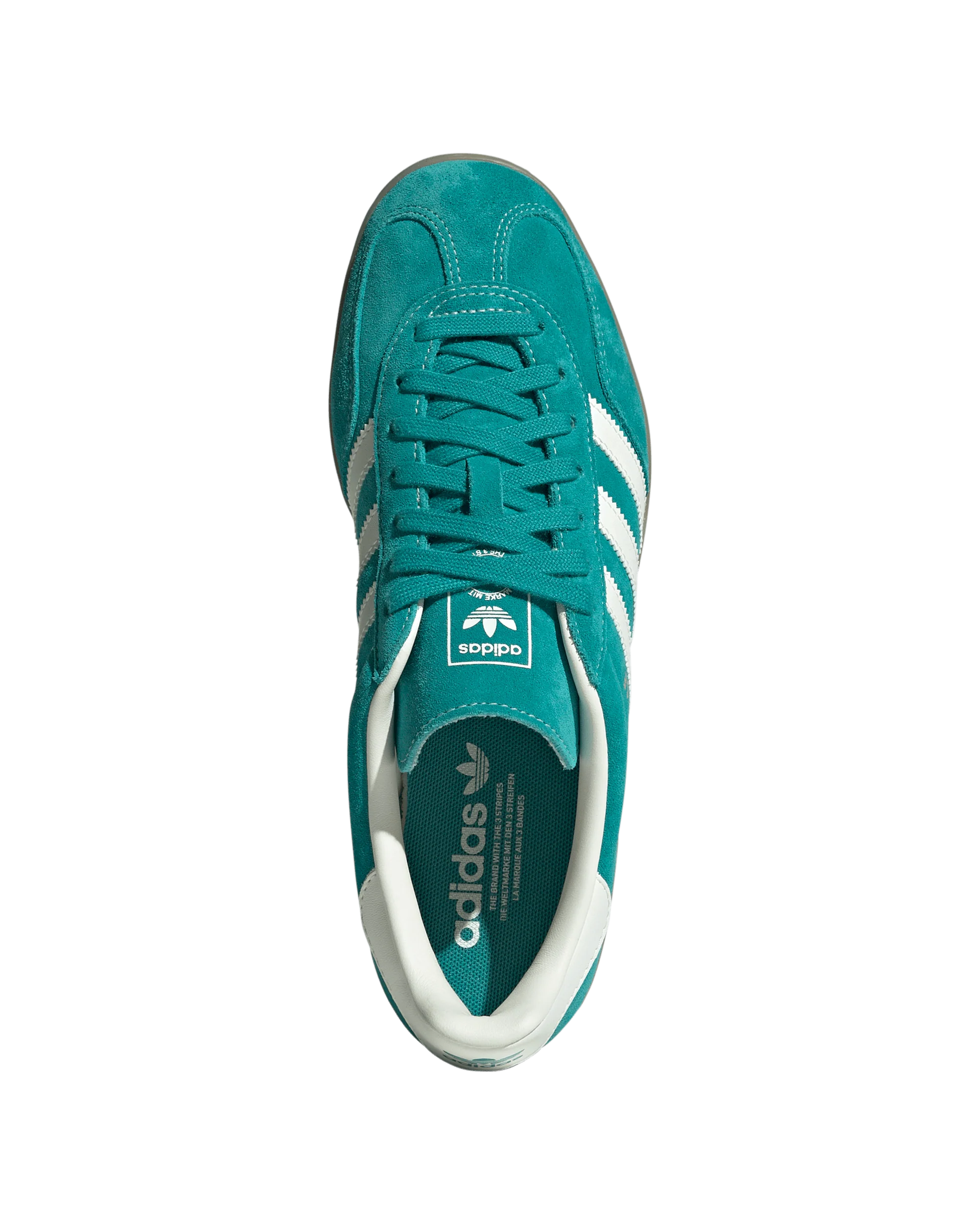 Gazelle Indoor - Macdery