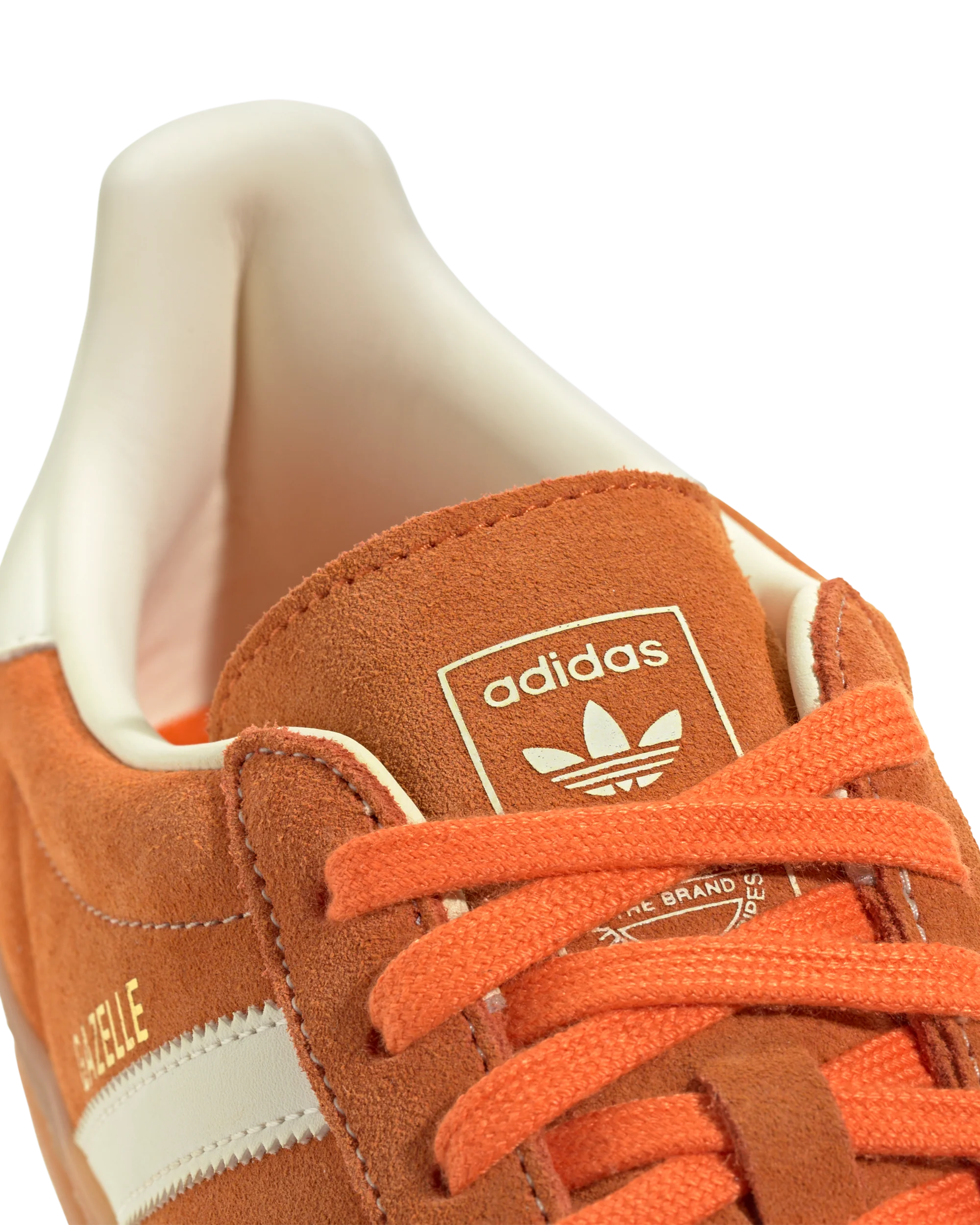 Gazelle Indoor - Macdery